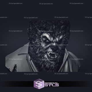 lobo hombre busto clásico monstruos 3d modelo 3d print model - Mito3D