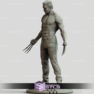 Wolverine ölümsüz stl Dosyalar 3d print model - Mito3D
