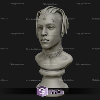 xxxtentaction bust ready 3d print 3d print model - Mito3D