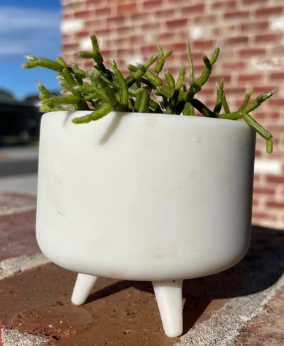 3 leg succulent planter pot - 3d by col4444 on thangs 3d print model - Mito3D
