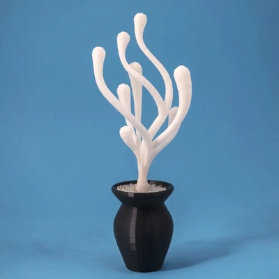 alieno giardino pianta 1 3d by on grazie impianti fioriera vr scolpire scultura decorazione design arte pentola arredamento progettista 3d print model - Mito3D