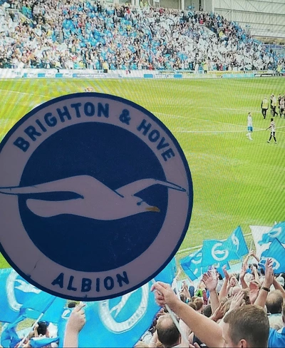 ams mmu brighton & hove albion fc coaster or plaque - 3d by daddywazzy thecreator on thangs 3d print model - Mito3D