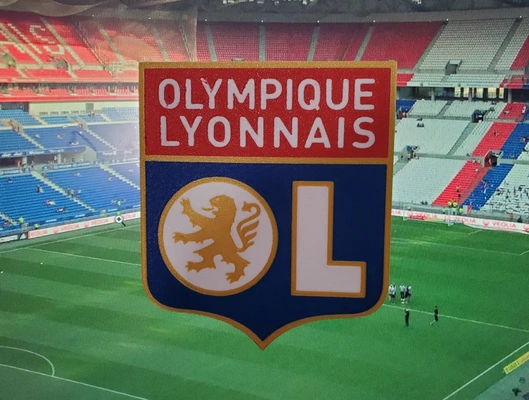 ams mmu olympique lyonnais lyon coaster or plaque - 3d by daddywazzy thecreator on thangs 3d print model - Mito3D