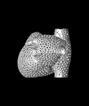 anatomik doğru Voronoi kalp 3d model teşekkürler 3d print model - Mito3D