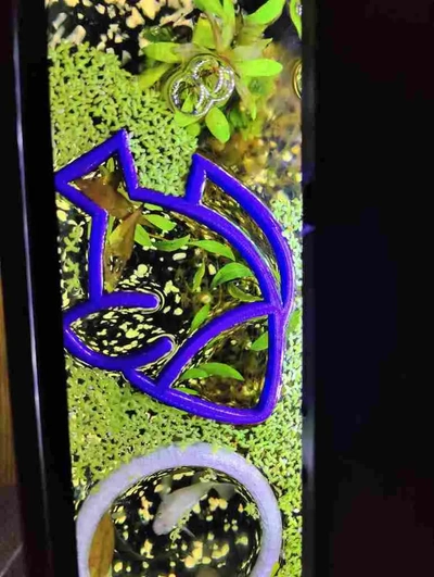 aquarium feeding ring fish - 3d by snakegreen88 on thangs 3d print model - Mito3D