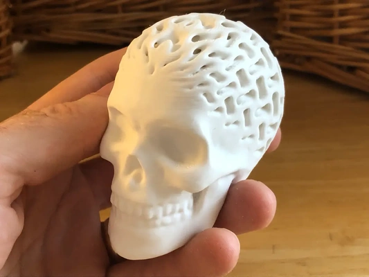 architettato cranio tiroide 3d by davemakesstuff on grazie scheletro osso ossatura ntopologia ingegnere ingegneria halloween tpms minimo superficie matematica arte gli sport attrezzature 3d print model - Mito3D