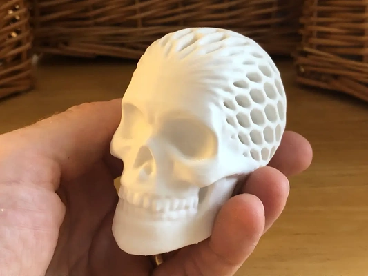 mimari kafatası altıgen bal peteği 3d by davemakesstuff teşekkürler iskelet kemik kemikler ntopoloji mühendis mühendislik matematik sanat cadılar bayramı 3d print model - Mito3D