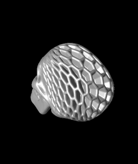 architected skull hex honeycomb Hobbies & Games 3d print model - Mito3D