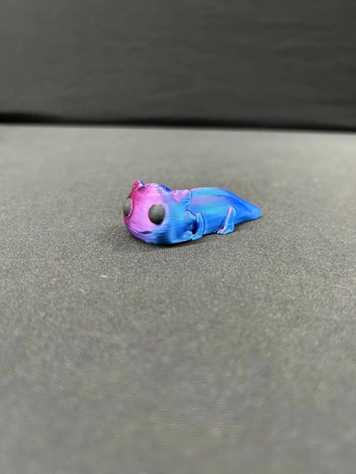 axolotl chibi 3d by gebaut bot on danke 3d print model - Mito3D