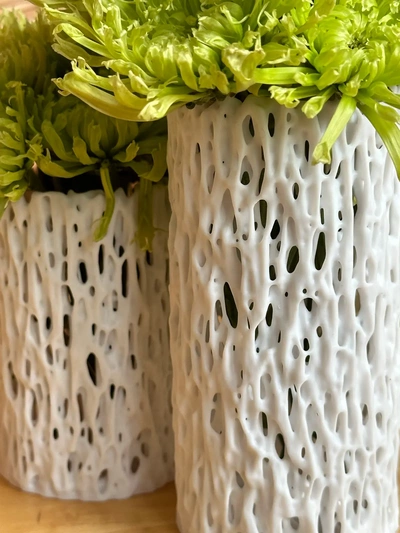 banyan trunk vase medium - 3d by davemakesstuff on thangs 3d print model - Mito3D