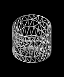 basket vasestl leonking Home & Garden 3d print model - Mito3D