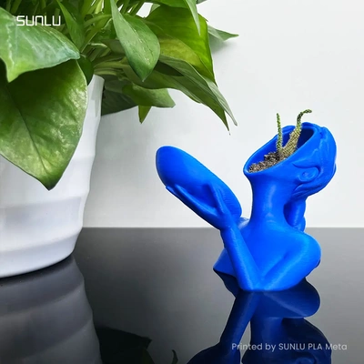 beauty flowerpotstl - 3d by sunlu on thangs 3d print model - Mito3D