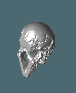 ciego cráneostl 04kalebbrown 3d print model - Mito3D