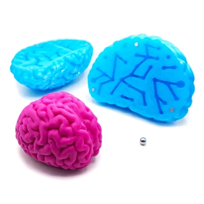 brain constellation maze - 3d by mcgybeer on thangs 3d print model - Mito3D