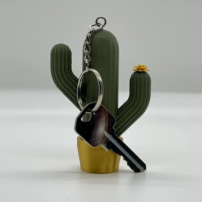 cactus canister keychain - 3d by cm design on thangs 3d print model - Mito3D