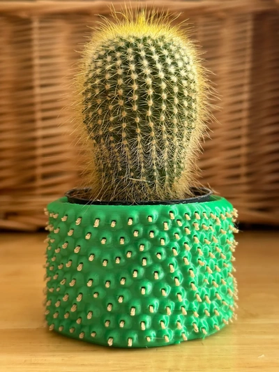cactus container - 3d by davemakesstuff on thangs planter plant spikey sharp dual colour color snapmaker abmbu bambulab holder gift 3d print model - Mito3D