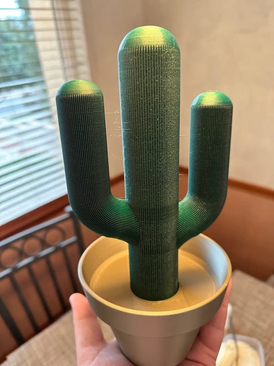 cactus functional art - stash container functionalart 3d by thelightspd on thangs 3d print model - Mito3D