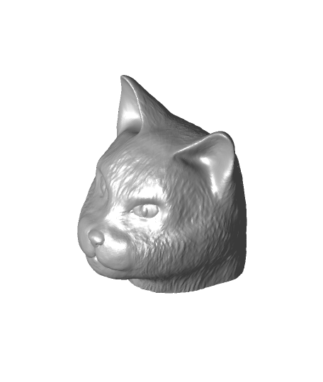 kedi baş v2 detaylı hayvanlar 3D print model - Mito3D
