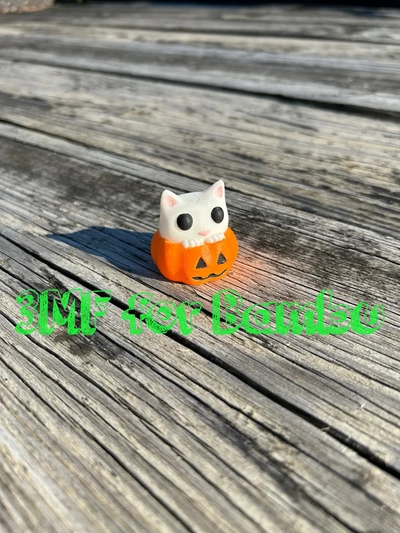 cat sitting in pumpkin ams - 3d by built bot on thangs 3d print model - Mito3D