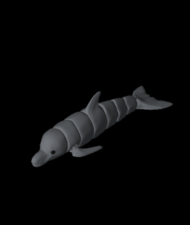 Clipper artikuliert Delfin Knochen Tiere 3d print model - Mito3D