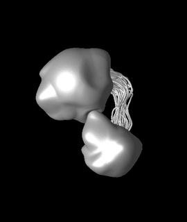 conected rocksstl animarte 3d print model - Mito3D