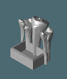 cópia negócio cartão suporte ossos ortopédico 3d print model - Mito3D
