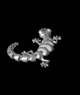 curled articulated lizard 3d model stetofire thangs 3d print model - Mito3D