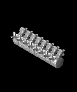 custom embossed spine 3d model davemakesstuff thangs 3d print model - Mito3D