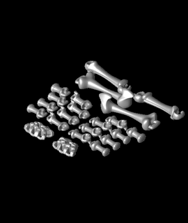 davision articolato scheletro 150 3d print model - Mito3D