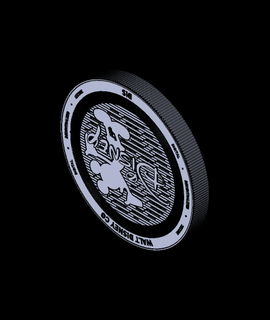 disney coin 3d model jimmydesign thangs 3d print model - Mito3D