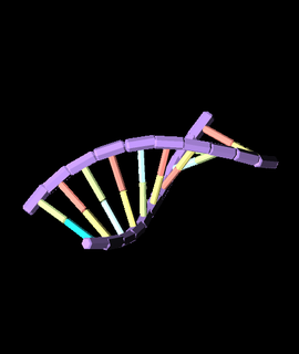 DNA doradropucic1207 3d print model - Mito3D
