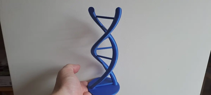 dna sample - 3d by ruimach on thangs 3d print model - Mito3D
