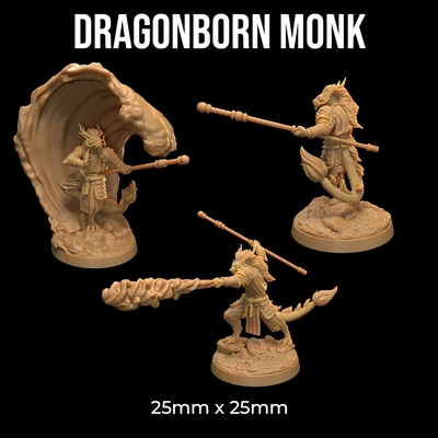 dragonborn monk - 3d by dragon trappers lodge on thangs 3d print model - Mito3D