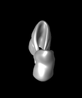 drape pearls gift box 3d print model - Mito3D