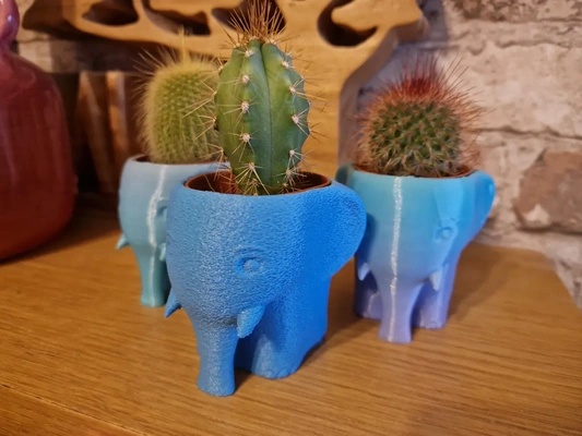 elephant succulent planter - 3d by omsculpts on thangs home & garden gardening landscaping animal trunk tusk africa india 3d print model - Mito3D