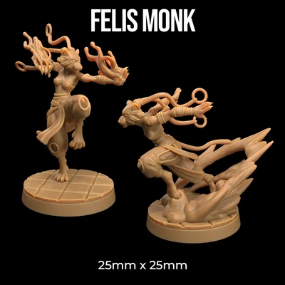 felis monk - 3d by dragon trappers lodge on thangs 3d print model - Mito3D