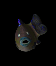 pesce scultura generato revopoint pop 3d modello grazie 3d print model - Mito3D