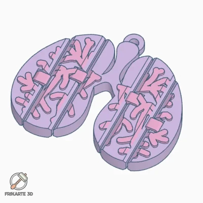 flexi lungs bronchi keychain - 3d by frikarte3d on thangs 3d print model - Mito3D