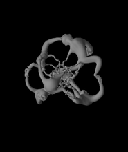 fun 24-cell monkeys 3d model thangs 3d print model - Mito3D