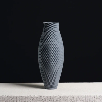 generative bulb vase dried flowers mode - 3d by slimprint on thangs 3d print model - Mito3D