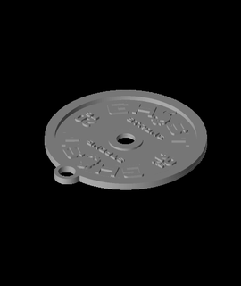 ghost plate key chain reifsnyderbrock 3d print model - Mito3D