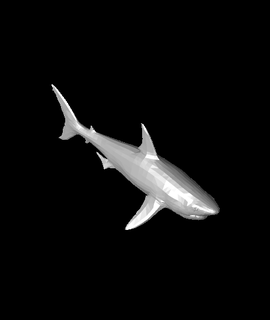 génial blanc requin 3d modèle mz4250 3d print model - Mito3D