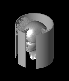 hairify shestl pietben 3d print model - Mito3D