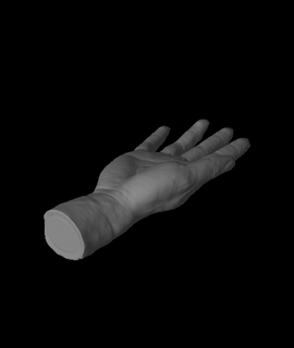 Hand gescannt Revopoint Mini 3d print model - Mito3D