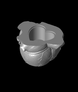 heart box nworx 3d print model - Mito3D