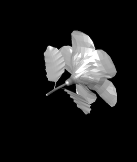 hibiscus v3stl ifreshwater 3d print model - Mito3D