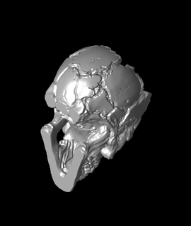 hollow skull - pencil holder decor Arts & Entertainment 3d print model - Mito3D