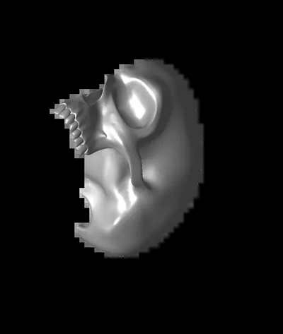insan anatomi kafatası 02 v1 tamir edilmiş çift bölünmüş 2 stl 3d by rbsciencesupport teşekkürler 3d print model - Mito3D