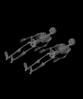 human skeletonobj bl00ddr1v3 3d print model - Mito3D
