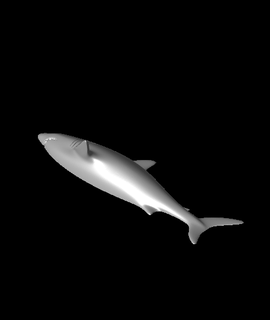 hunter shark 3d model mz4250 thangs 3d print model - Mito3D